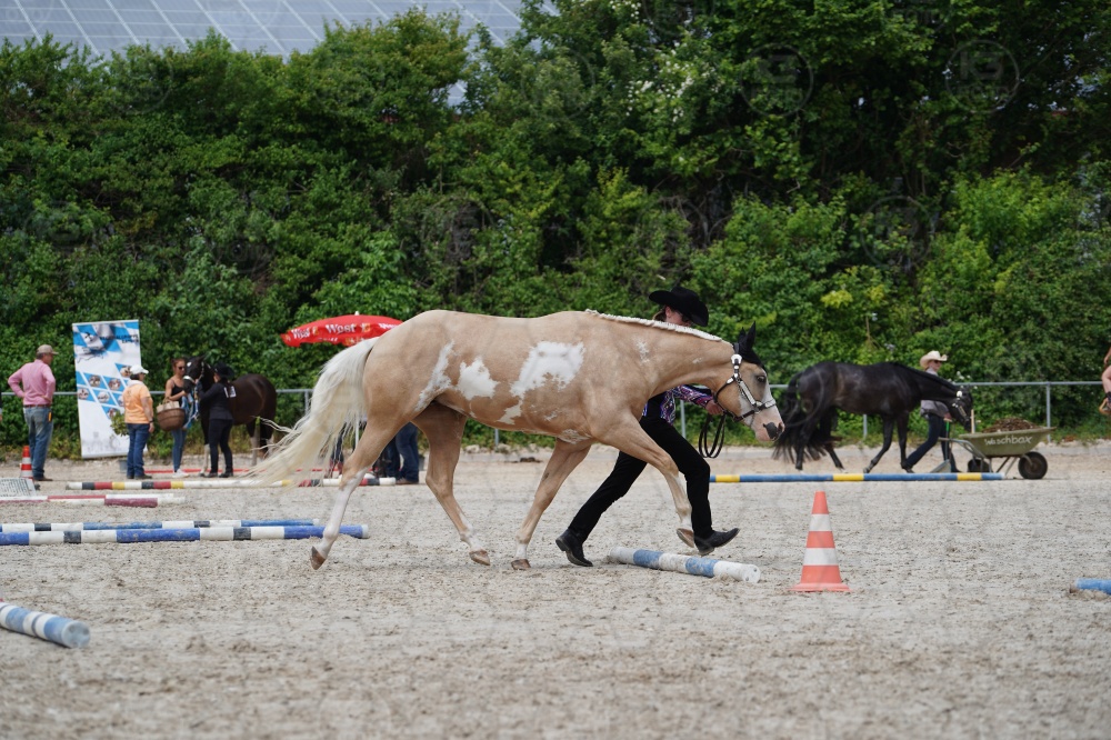 s_A9_06558.jpg